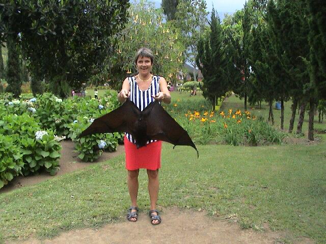 Kerstin mit Flughund