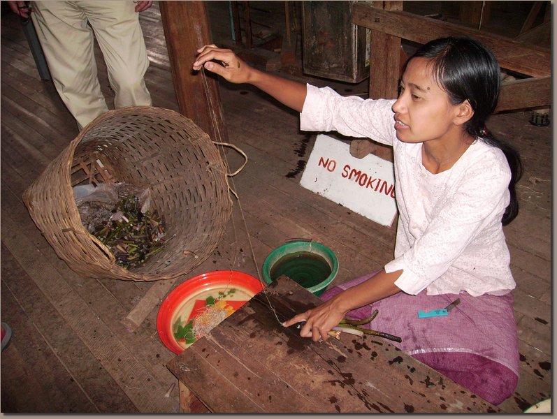Burma - Lotos-Spinnerin am Inle-see