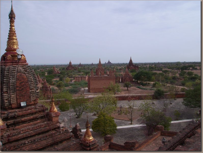 Burma - Pagodenfeld von Bagan