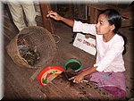 Burma - Lotos-Spinnerin am Inle-see